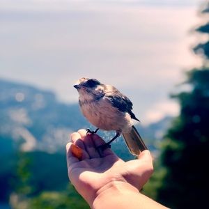 Meet your Posher, Mel